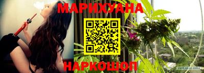 крисы Бузулук