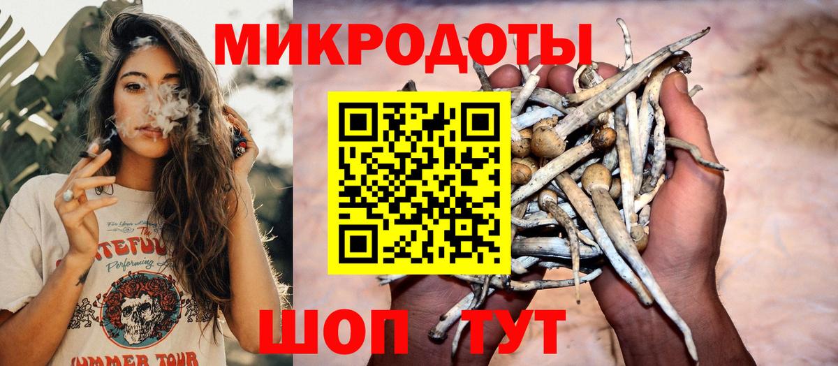 Галлюциногенные грибы прущие грибы Полевской